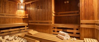 Poêles de sauna avec réservoir d'eau - Section Médias