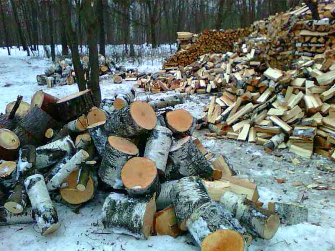 Bois de chauffage en bouleau