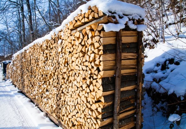 Briquettes ou granulés. Qu'est-ce qui est plus rentable à produire