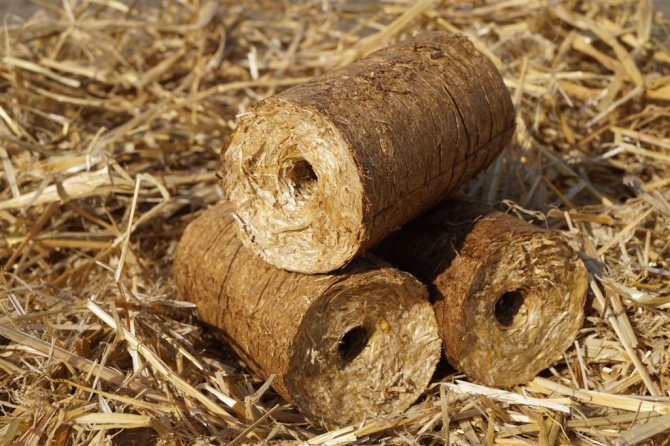 Briquettes de paille