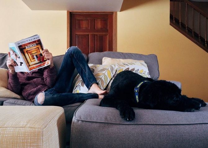Un homme et un chien - la chaleur de l'amitié est tout à fait palpable