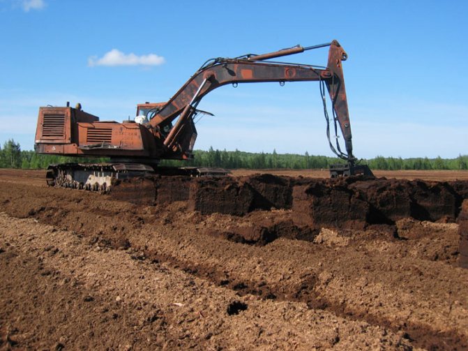 Extraction de tourbe