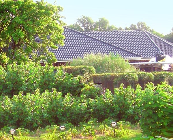 Maison en dehors de la ville
