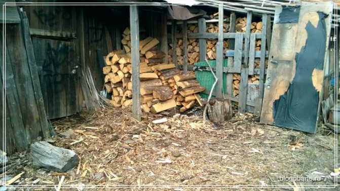 bois de chauffage de conifères dans la rue