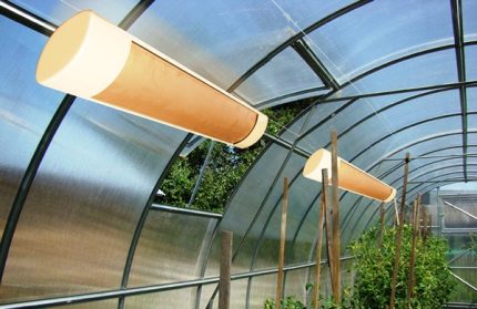 Lampe infrarouge dans une serre