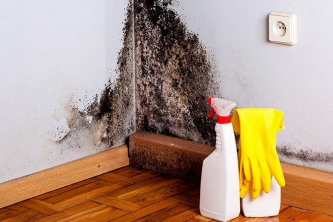 comment gérer l'humidité et la moisissure dans la maison