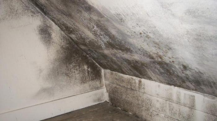 comment se débarrasser de l'excès d'humidité dans la maison