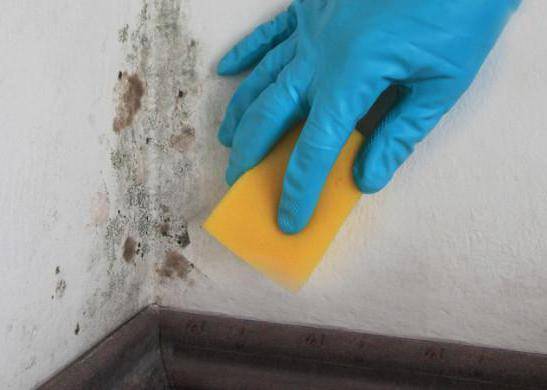 Comment se débarrasser de l'humidité élevée dans un appartement et une maison: pourquoi cela se produit et que faire