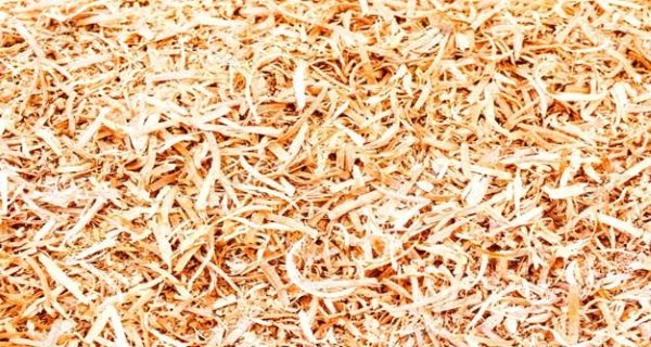 Comment isoler le sous-sol d'une maison en bois de vos propres mains