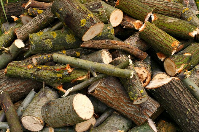 Comment préparer du bois de chauffage