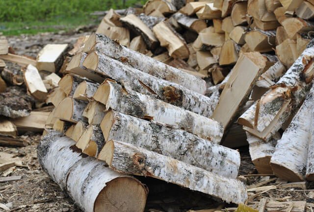 quel type de bois pour chauffer la cheminée