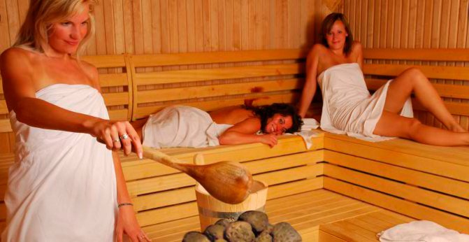 Quelles pierres pour le poêle dans les bains sont meilleures