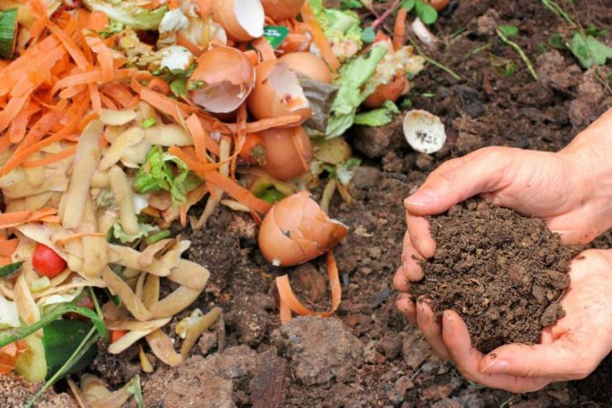 Compost de sciure avec déchets organiques