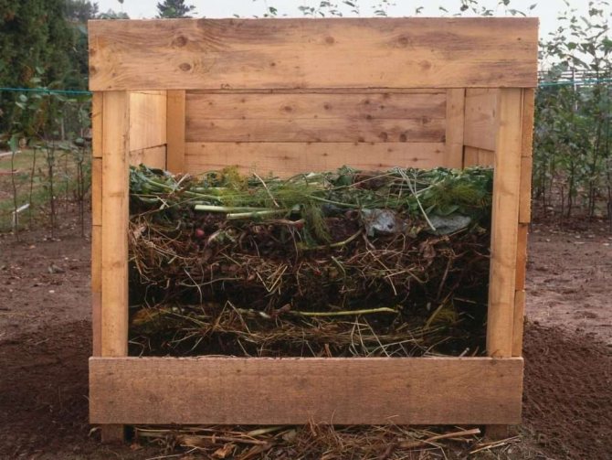 Compost de sciure