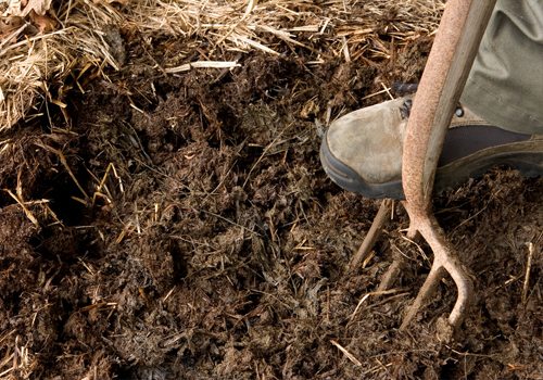 Le fumier est un carburant à effet de serre respectueux de l'environnement