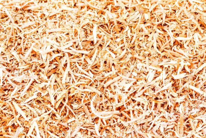 La sciure de bois est un matériau très bon marché pour l'isolation des sols.