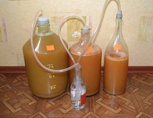 Description du siphon avec un siphon sec et la différence avec l'habituel