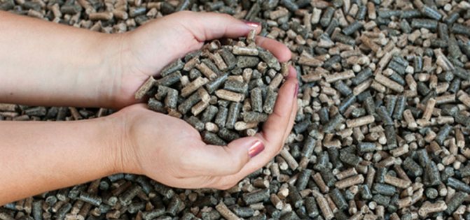 production de pellets de balle de tournesol