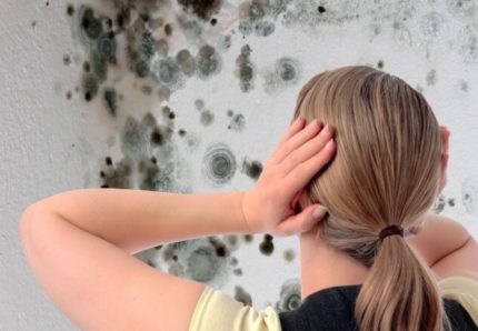 De la moisissure sur les murs