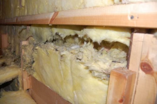 Pourquoi les souris rongent la mousse de polystyrène