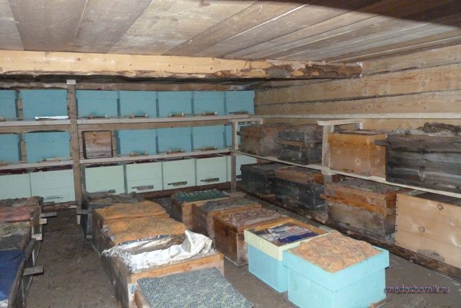 Place pour les ruches en hiver