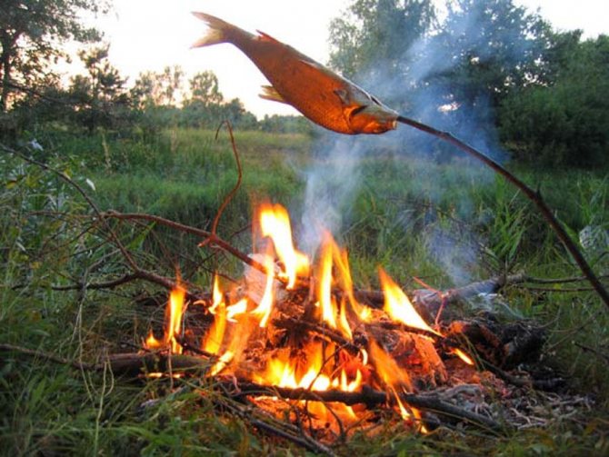 Le poisson est frit sur un feu