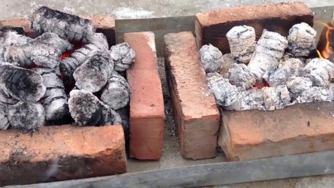 Comparaison des briquettes de tournesol et de balle de riz