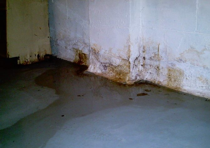 Les murs humides sont une source de moisissure