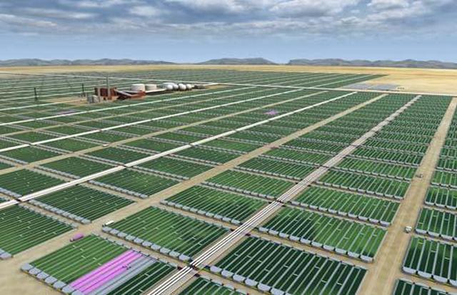 Voici à quoi ressembleront les usines de production de biodiesel à partir d'algues vertes
