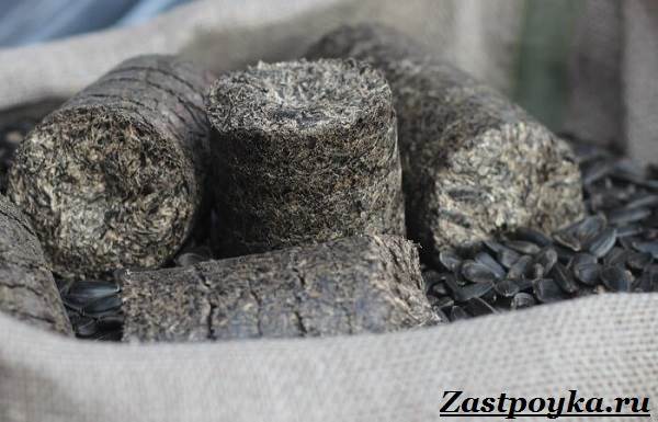 Briquettes-combustibles-Description-propriétés-types-et-prix-des-briquettes-combustibles-11