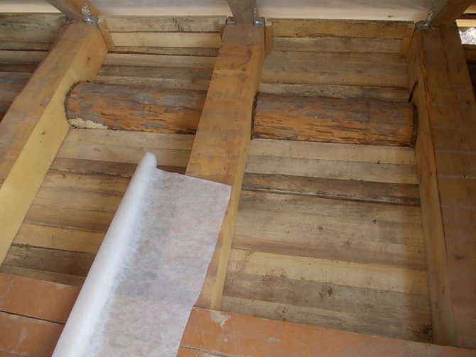 Pose du substrat avant de remplir la sciure de bois