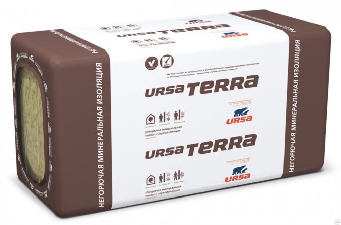 Ursa Terra se distingue par une couleur plus foncée