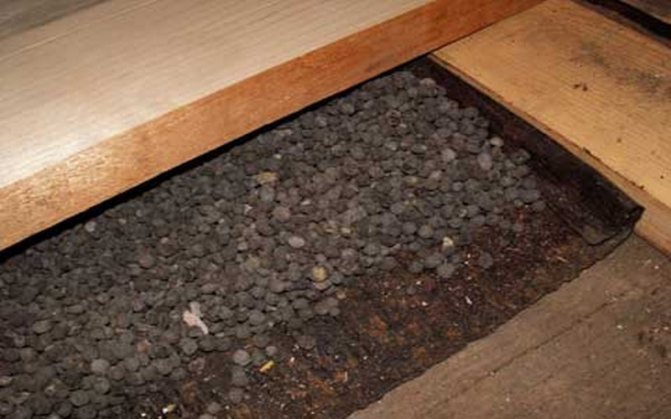 Nous isolons le plafond d'une maison en bois de nos propres mains