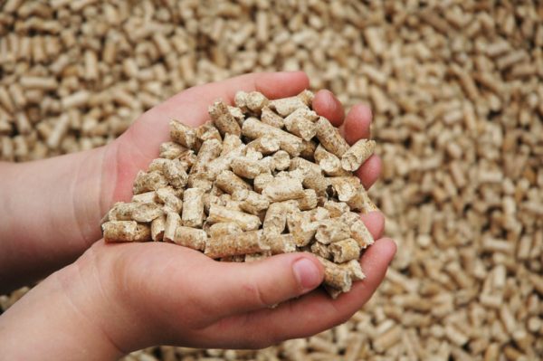 Sélection de chaudières à pellets.Comment installer une chaudière à granulés
