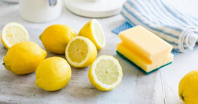 Le jaune d'agrumes économise quand aucun autre nettoyant n'est disponible