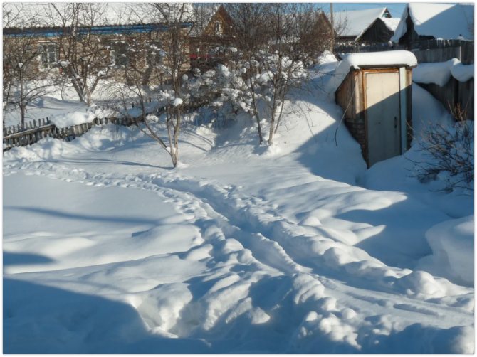 cour d'hiver